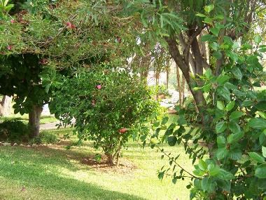 Chalet �/en/au Torreblanca del Sol (M�laga)ou appartement ou maison de vacances