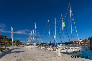 Maison de vacances /en/au Maslinica (Splitsko-Dalmatinska)ou appartement ou maison de vacances