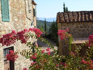 Maison de vacances �/en/au Siena (Siena)ou appartement ou maison de vacances