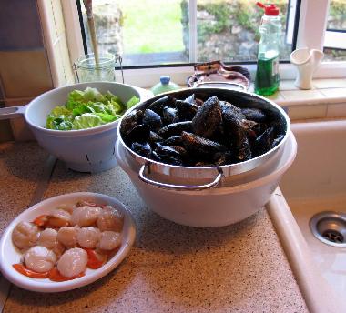 Maison de vacances �/en/au Tahilla (Kerry)ou appartement ou maison de vacances