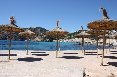 Villa /en/au Camp de Mar (Mallorca)ou appartement ou maison de vacances