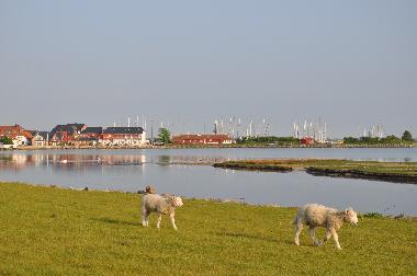 Appartement de vacances /en/au Fehmarn (Insel Fehmarn)ou appartement ou maison de vacances