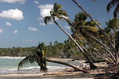 Maison de vacances �/en/au Punta Bonita (Samana)ou appartement ou maison de vacances