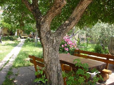 Appartement de vacances /en/au Klek (Dubrovacko-Neretvanska)ou appartement ou maison de vacances