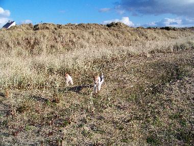 Maison de vacances /en/au Lindbergh-PLage (Manche)ou appartement ou maison de vacances