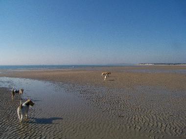 Maison de vacances /en/au Lindbergh-PLage (Manche)ou appartement ou maison de vacances