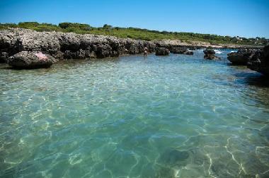 Villa �/en/au LEPORANO MARINA (Taranto)ou appartement ou maison de vacances