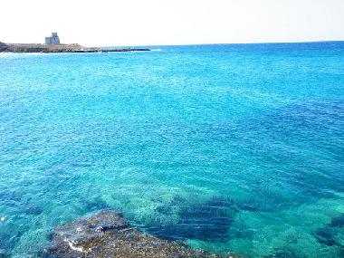 Villa �/en/au LEPORANO MARINA (Taranto)ou appartement ou maison de vacances