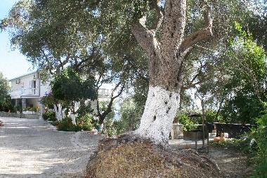 Appartement de vacances /en/au Parga (Preveza)ou appartement ou maison de vacances