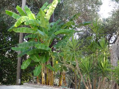 Appartement de vacances /en/au Parga (Preveza)ou appartement ou maison de vacances