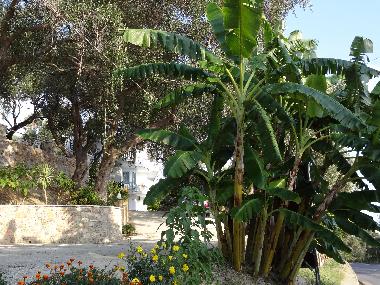 Appartement de vacances /en/au Parga (Preveza)ou appartement ou maison de vacances