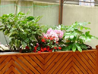 Appartement de vacances /en/au Roma (Rome)ou appartement ou maison de vacances