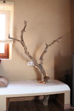 Appartement de vacances /en/au Odeceixe (Algarve)ou appartement ou maison de vacances