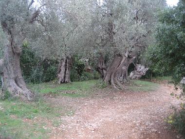 Maison de vacances /en/au Paltsi (Magnisia)ou appartement ou maison de vacances