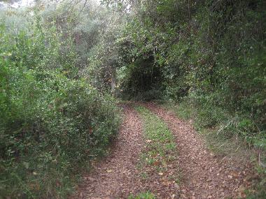 Maison de vacances /en/au Paltsi (Magnisia)ou appartement ou maison de vacances