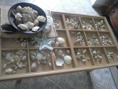 Chambre avec petit djeuner /en/au  ΝΕΑ STIRA EVOIAS (Evvoia)ou appartement ou maison de vacances