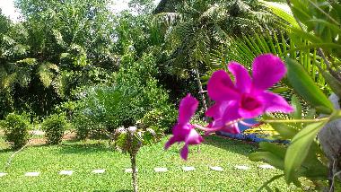 H�tel �/en/au Bentota (Galle)ou appartement ou maison de vacances