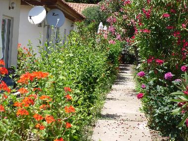 Maison de vacances �/en/au Kato Samiko (Peloponnisos)ou appartement ou maison de vacances