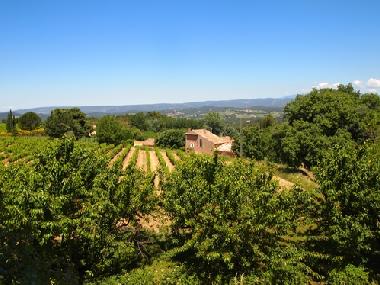 Appartement de vacances �/en/au Bonnieux (Vaucluse)ou appartement ou maison de vacances