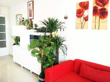 Appartement de vacances �/en/au Le Barcares (Pyr�n�es-Orientales)ou appartement ou maison de vacances