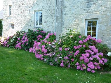 Maison de vacances �/en/au valognes (Manche)ou appartement ou maison de vacances