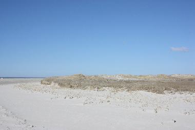 Maison de vacances �/en/au Wesselburenerkoog (Nordsee-Festland)ou appartement ou maison de vacances