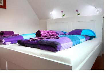 Maison de vacances /en/au Alpirsbach (Schwarzwald)ou appartement ou maison de vacances