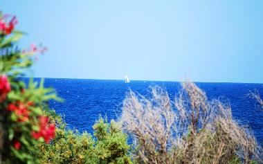 Appartement de vacances /en/au la caletta (Nuoro)ou appartement ou maison de vacances