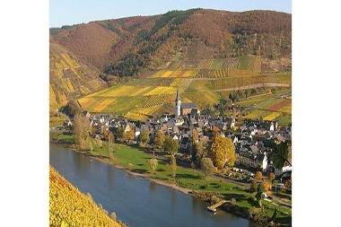 Maison de vacances /en/au Bruttig-Fankel (Mosel - Saar)ou appartement ou maison de vacances