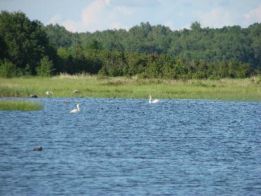 Maison de vacances �/en/au Rannak�la (Saaremaa)ou appartement ou maison de vacances