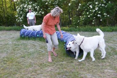 Maison de vacances /en/au Dbrkz (Tolna)ou appartement ou maison de vacances