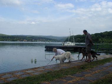Maison de vacances /en/au Dbrkz (Tolna)ou appartement ou maison de vacances