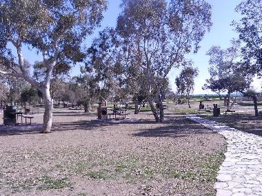 Appartement de vacances �/en/au Antalya (Antalya)ou appartement ou maison de vacances