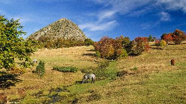mont gerbier des jonc.source de la loire