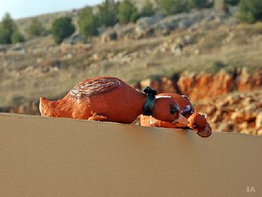 Chambre avec petit d�jeuner �/en/au Safed (HaZafon (Northern))ou appartement ou maison de vacances