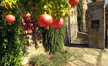 Appartement de vacances /en/au castiglion fiorentino (Arezzo)ou appartement ou maison de vacances