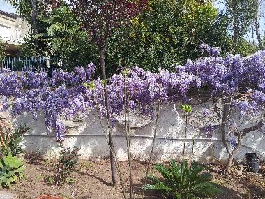 Maison de vacances �/en/au Gela (Caltanissetta)ou appartement ou maison de vacances