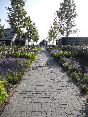 Maison de vacances �/en/au Kattendijke (Zeeland)ou appartement ou maison de vacances
