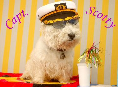 Appartement de vacances �/en/au Zingst (Fischland-Dar�-Zingst)ou appartement ou maison de vacances