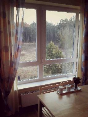 Appartement de vacances �/en/au Druskininkai (Alytaus Apskritis)ou appartement ou maison de vacances