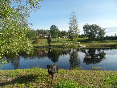 Maison de vacances /en/au Rrvik (Smaland)ou appartement ou maison de vacances