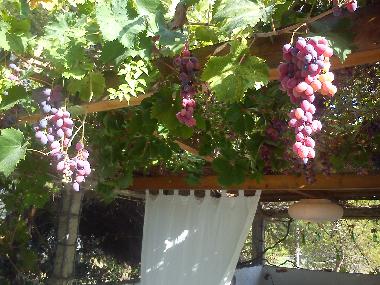 Villa /en/au preveza (Preveza)ou appartement ou maison de vacances