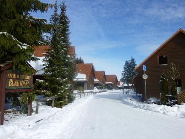 Maison de vacances /en/au Hasselfelde (Harz)ou appartement ou maison de vacances