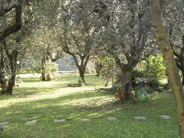 Maison de vacances /en/au  Pozzi di Seravezza (Lucca)ou appartement ou maison de vacances