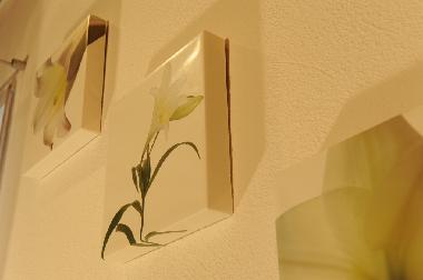 Appartement de vacances /en/au Bondorf (Region Stuttgart)ou appartement ou maison de vacances
