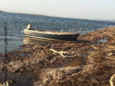 Maison de vacances /en/au Peyriac de mer (Aude)ou appartement ou maison de vacances