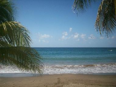 PLAGE DE PETITE ANSE