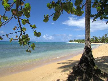 Maison de vacances �/en/au Las Terrenas (Samana)ou appartement ou maison de vacances