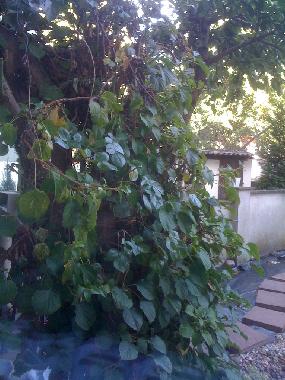 Appartement de vacances /en/au Dortmund (Ruhrgebiet)ou appartement ou maison de vacances