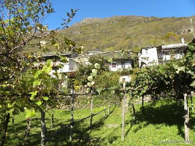 Maison de vacances /en/au Colloro (Verbano-Cusio-Ossola)ou appartement ou maison de vacances